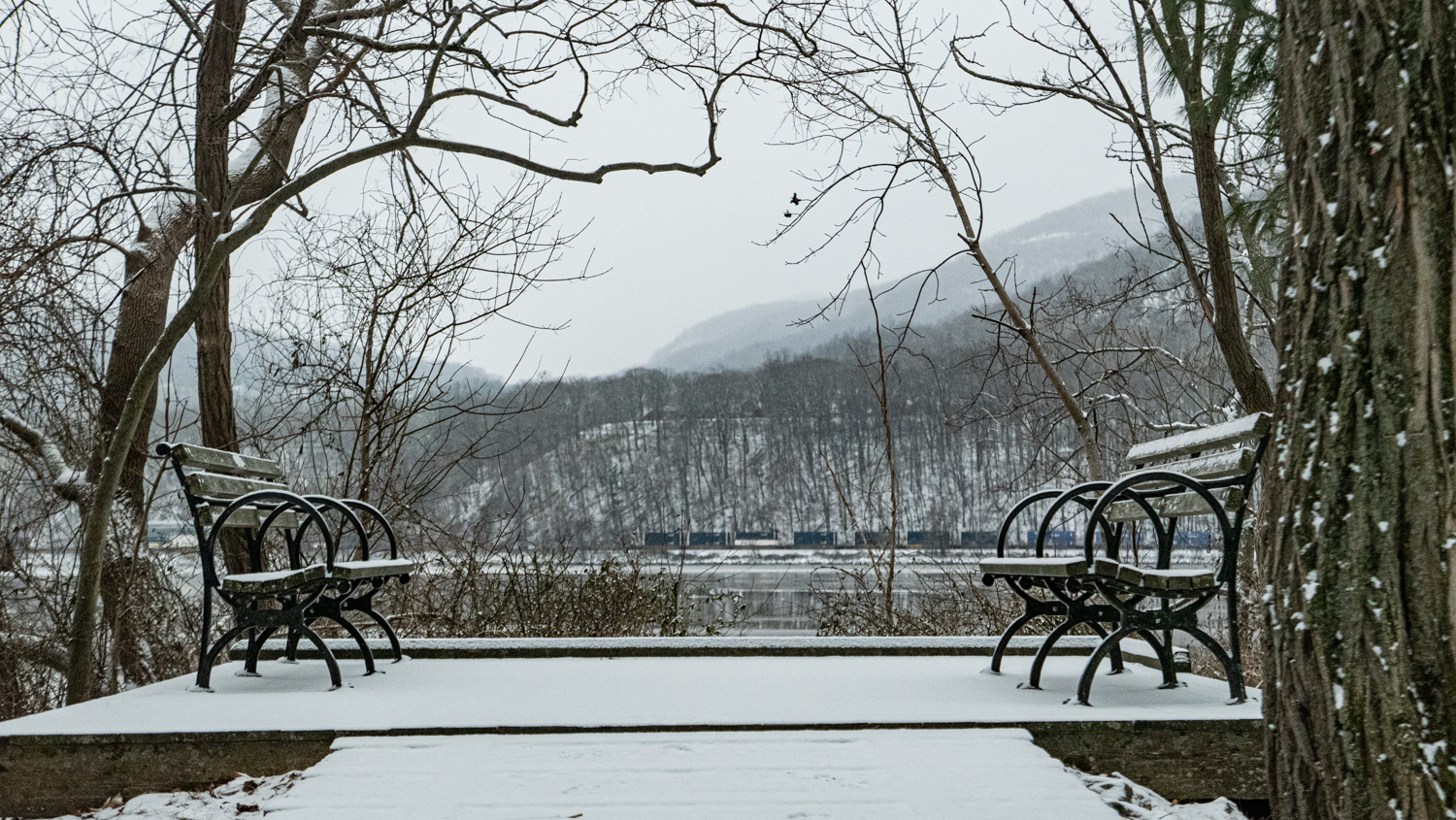 Leica D Lux7, 34mm, 1-4000, f2.8, iso1600(Cold Spring, NY).jpg